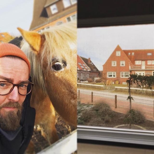Dieser Moment wenn du bei dem Kunden aus dem Fenster kuckst und der nen Pferd im Vorgarten hat ?. Sachen gibts ? #Baltrum #Pferd #norderney #garten #verrückt #mitperdantseeupnördernee